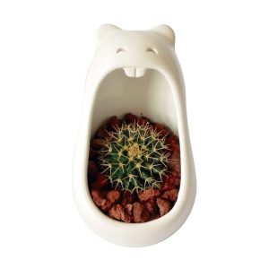 comelon pera de ceramica cactus marca tuio diseño mexicano