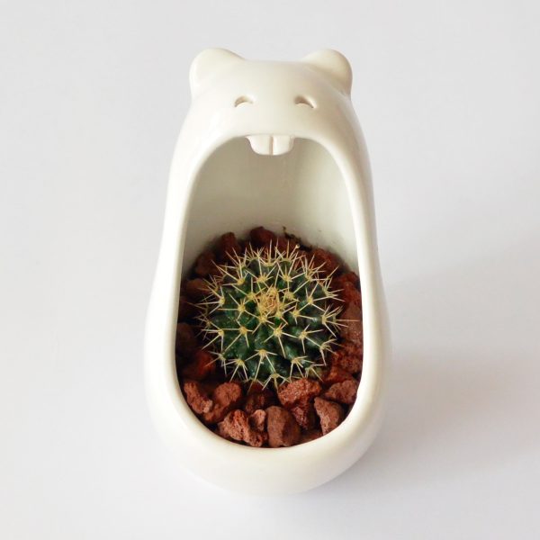 comelon pera de ceramica regalo corporativo marca tuio diseño mexicano