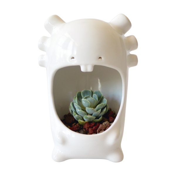 comelon ajolote maceta de ceramica marca tuio diseño mexicano cactus suculentas plantas maceta