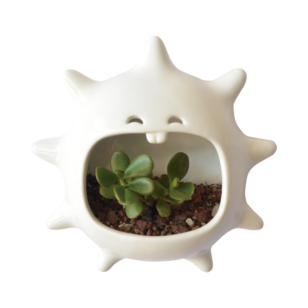 mega comelon erizo de pared de ceramica marca tuio diseño mexicano maceta planta