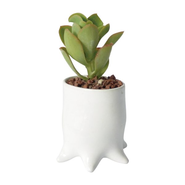 maceta pulpo de ceramica marca tuio diseño mexicano cactus suculentas plantas