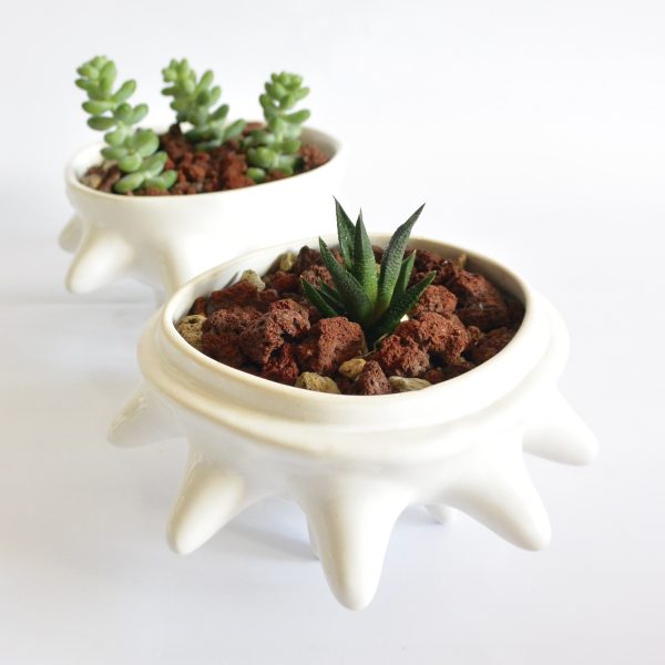 tazon erizo con tapa de ceramica marca tuio diseño mexicano cactus suculentas plantas