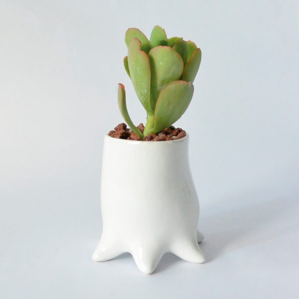 tazon pulpo de ceramica marca tuio diseño mexicano plantas cactus suculentas maceta